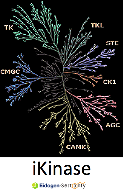 iKinase Splash