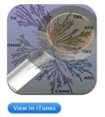 iKinase