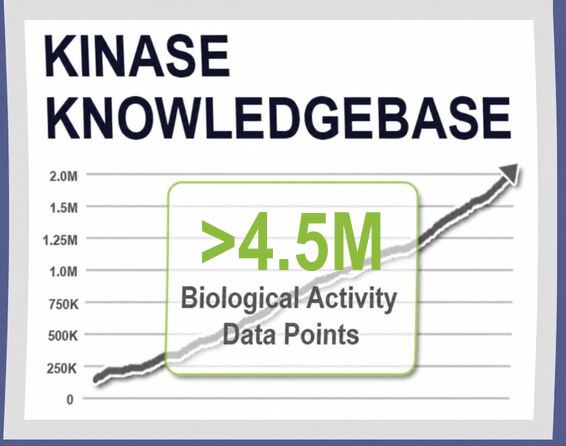 Kinase Knowledgebase Interface