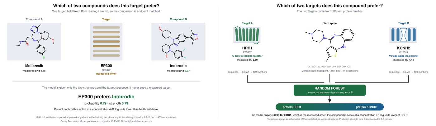 Family Foundation Model: the compound-preference model ranking two compounds at one target, and the target-preference model comparing two targets from different families for one compound