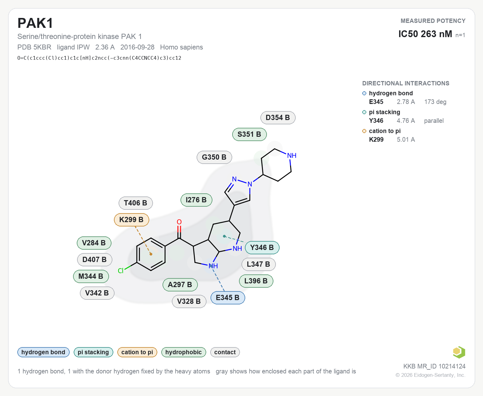 Contact map for PAK1 with ligand IPW from PDB entry 5KBR, IC50 263 nM in the Kinase Knowledgebase, showing the measured interactions on the flat structure